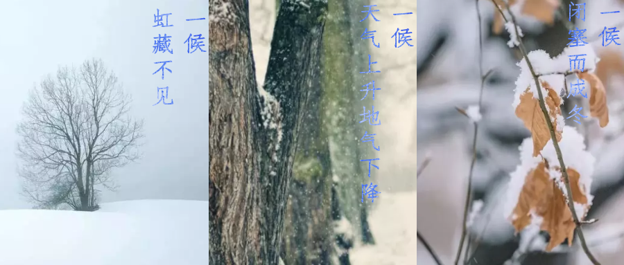 今日小雪，寒潮來襲，洗瓶機(jī)來幫你解放雙手吧！
